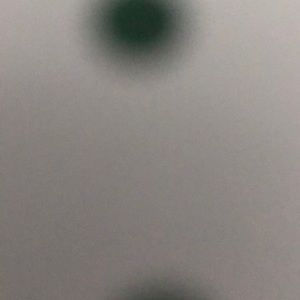 Meet your Posher, Mila